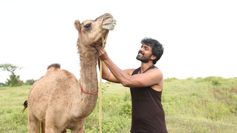BAKRID MOVIE STILLS