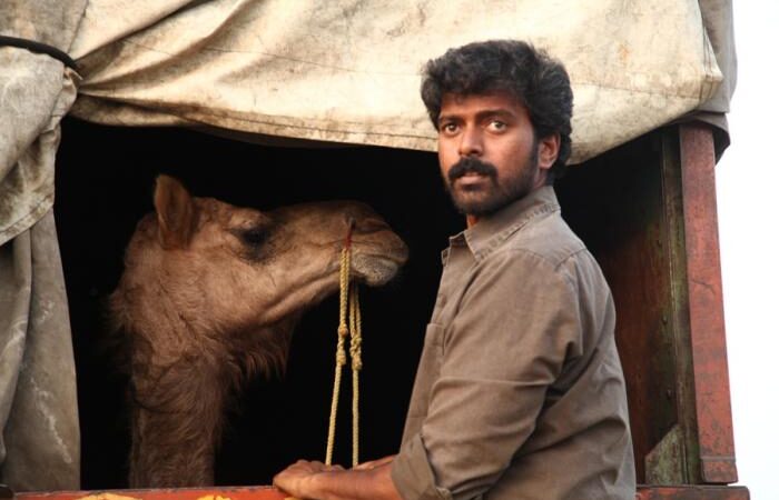 பக்ரீத் திரைப்படத்தின் டீசர், பாடல்கள் பாடல்கள் முடக்கம்