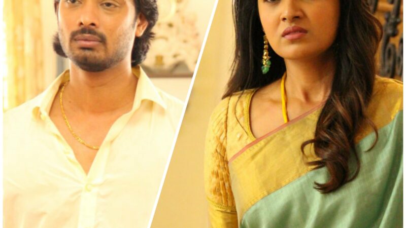 சத்தி என் பிலிம்ஸ் சார்பில் மிஸ்டர் சத்தி தயாரிக்கும் புதிய படத்தின் பெயர் தான் ” மிஸ்டர் டபிள்யூ”.