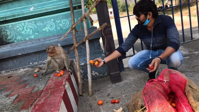 மதுரை அழகர்மலை வாழ் வானரங்களுக்கு உணவளித்த நடிகர் அபிசரவணன்!