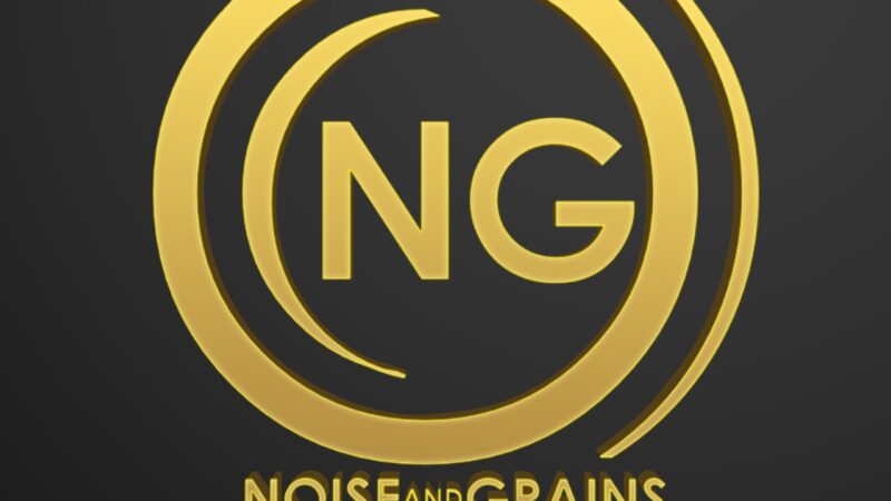 Noise and Grains’s New Vertical – “Noise and Grains Movies”