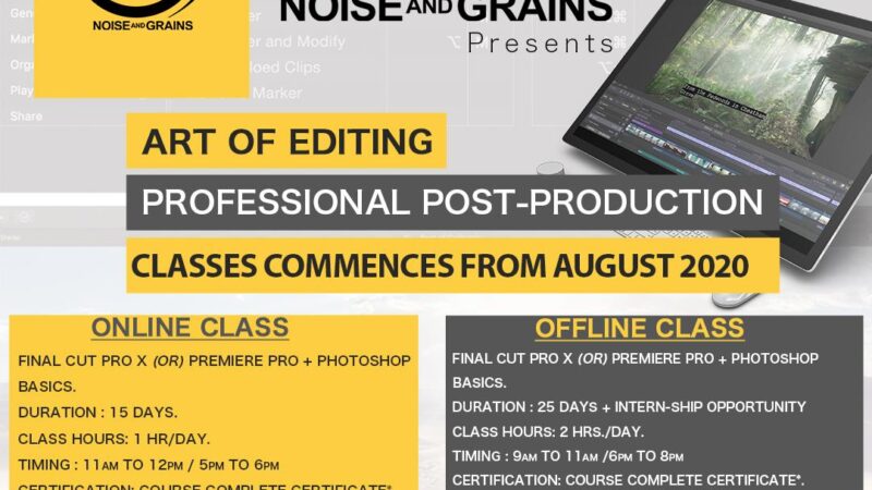 Yet another Division of Noise and Grains – “Art of Editing”