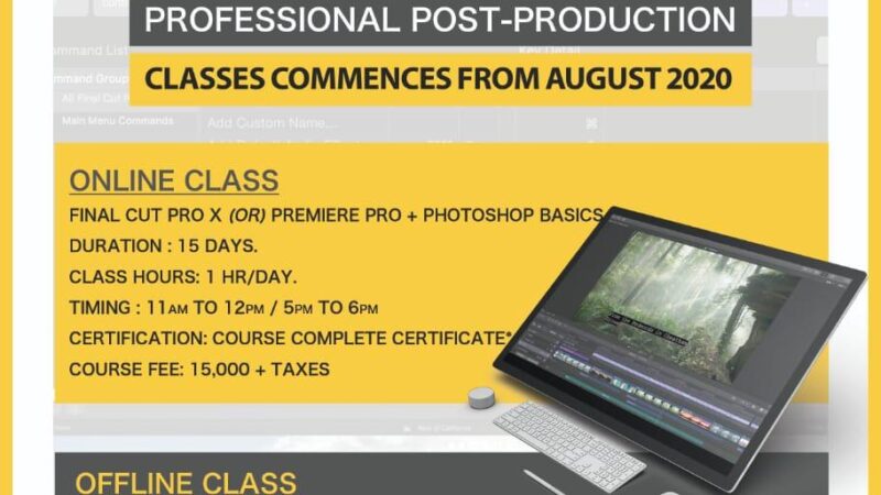 Yet another Division of Noise and Grains – “Art of Editing”