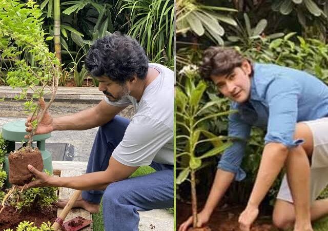 தளபதி விஜய் தெலுங்கு நடிகர் மகேஷ் பாபு சேலஞ்ச் ஆனால் தயவு செய்து ஒருவரை இன்னொருவருடன் ஒப்பிட வேண்டாம். – நடிகர் விவேக்.