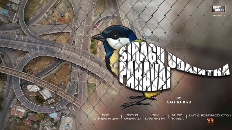 SIRAGU UDAINTHA PARAVAI – Secret of Pet Life – Tamil Short Film