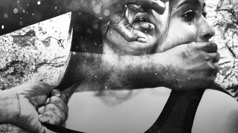 A film on the merits and prowess of Human Rights Commission.