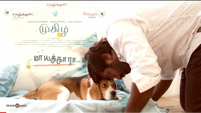 Mughizh | Maayakkara Lyric Video | Sreeja Vijay Sethupathi, Regina Cassandra, Vijay Sethupathi