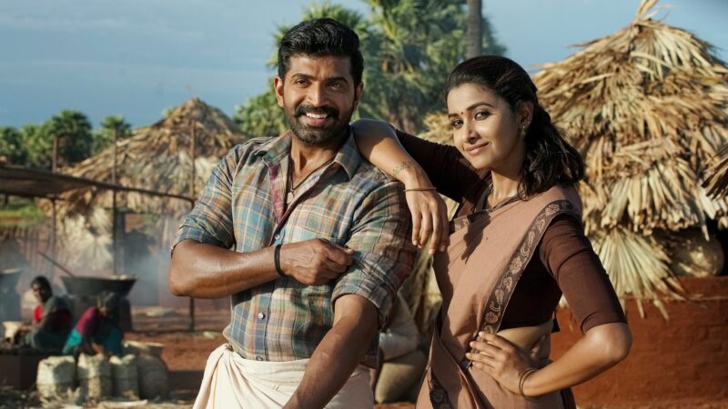 Yaanai Movie Stills