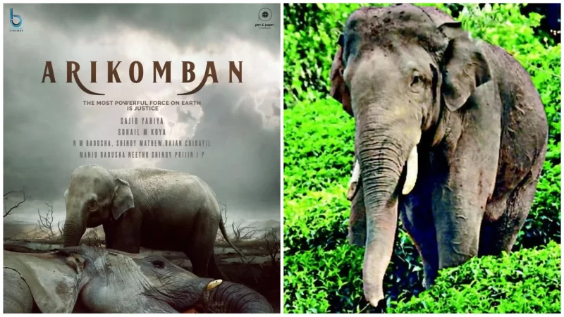 അരിക്കൊമ്പന്റെ ഷൂട്ടിംഗ് ഒക്ടോബറിൽ, ചിത്രീകരണം ശ്രീലങ്കയിലയിലെ സിഗിരിയയിൽ.!!