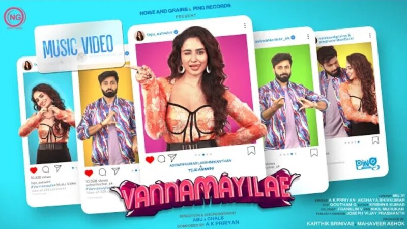 Vannamayilae | Music Video | ft. Ashwin Kumar | Teju | AK Prriyan | Noise and Grains | Ping Records