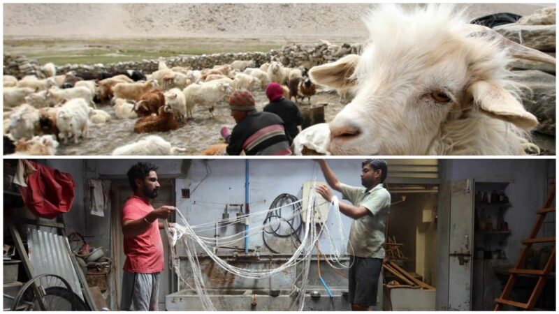 Mark Studio India Pvt. Ltd.’s Life in Loom Wins Best Cinematography at the 72nd National Film Awards !